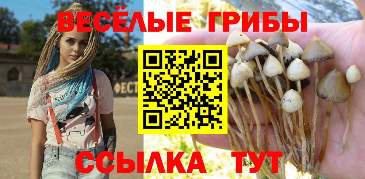 Псилоцибиновые грибы прущие грибы  Вход с VPN  где найти   Домодедово 
